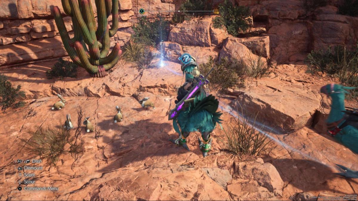 Cosmo Canyon features gliding Chocobos.